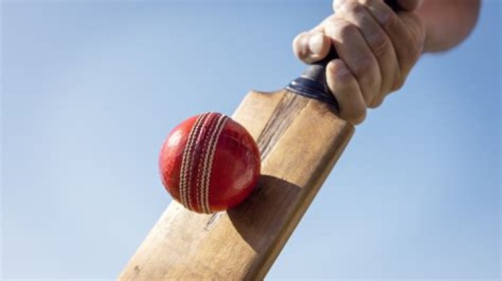 What is a cricket ball made of and what are the types?