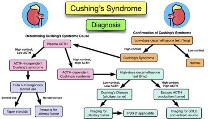 What Is Cushing Syndrome? Know About This Condition As Amy Schumer Reveals Diagnosis Days After Clapping Back At 'Puffier' Face Claims