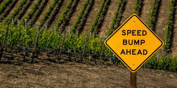 What is the 'Speed Bump' Sex Position?