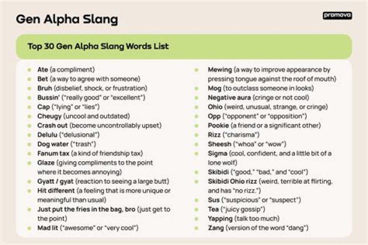 What is top shelf slang for?