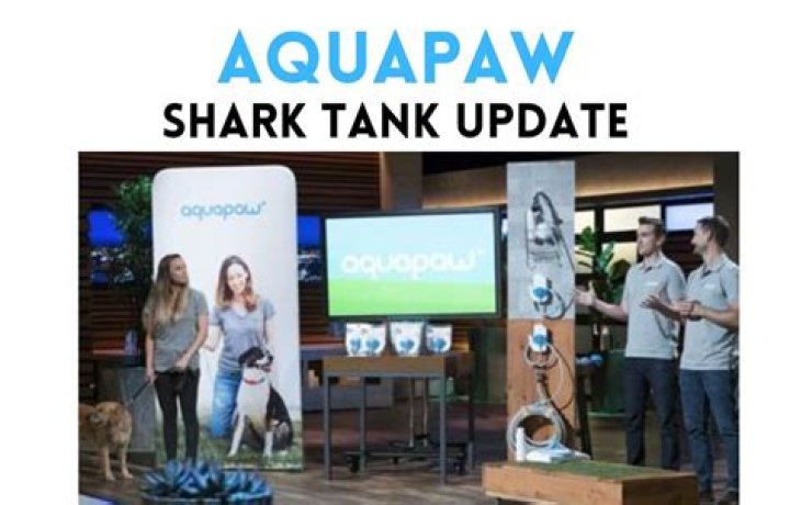 Whatever Happened To Aquapaw After Shark Tank?