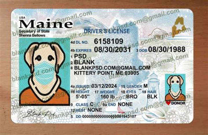 Where do i get a maine drivers license
