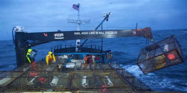 Where Does Deadliest Catch's Fishing Quota Come From?