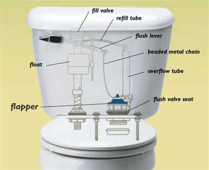 Where does the chain go in a toilet