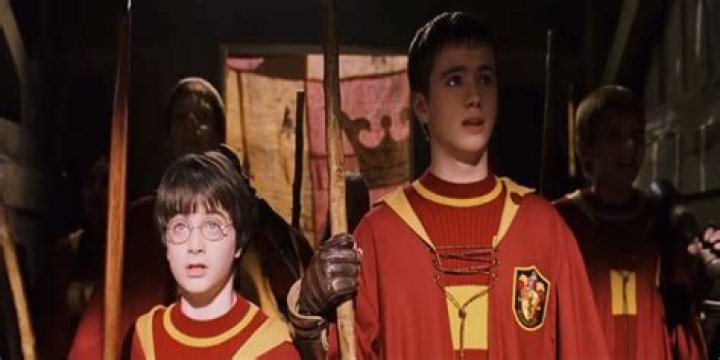Where Is Harry Potter's Oliver Wood Now? The Actor Who Played Him, Sean Biggerstaff, Has Been Pretty Busy