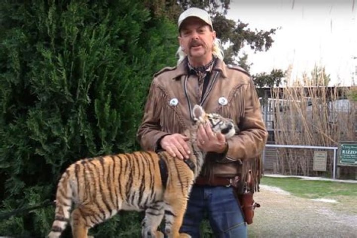 Where Is It Legal To Own Tigers? 'Tiger King' Sheds Light On A Sad Reality