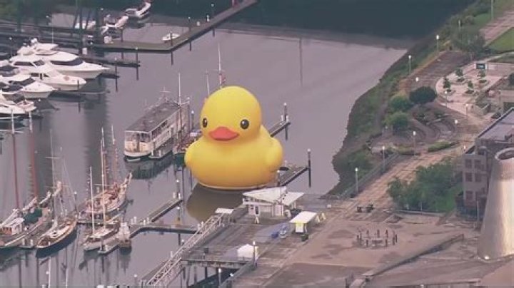 Where is John Duck Now?