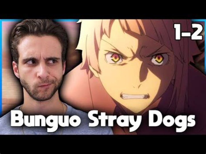 Where To Watch Bungo Stray Dogs English Dubbed Legally? All Options Explored