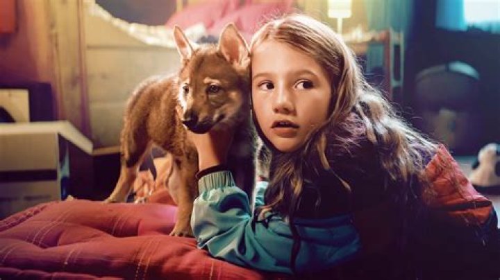 Where Was Vicky and Her Mystery Filmed?