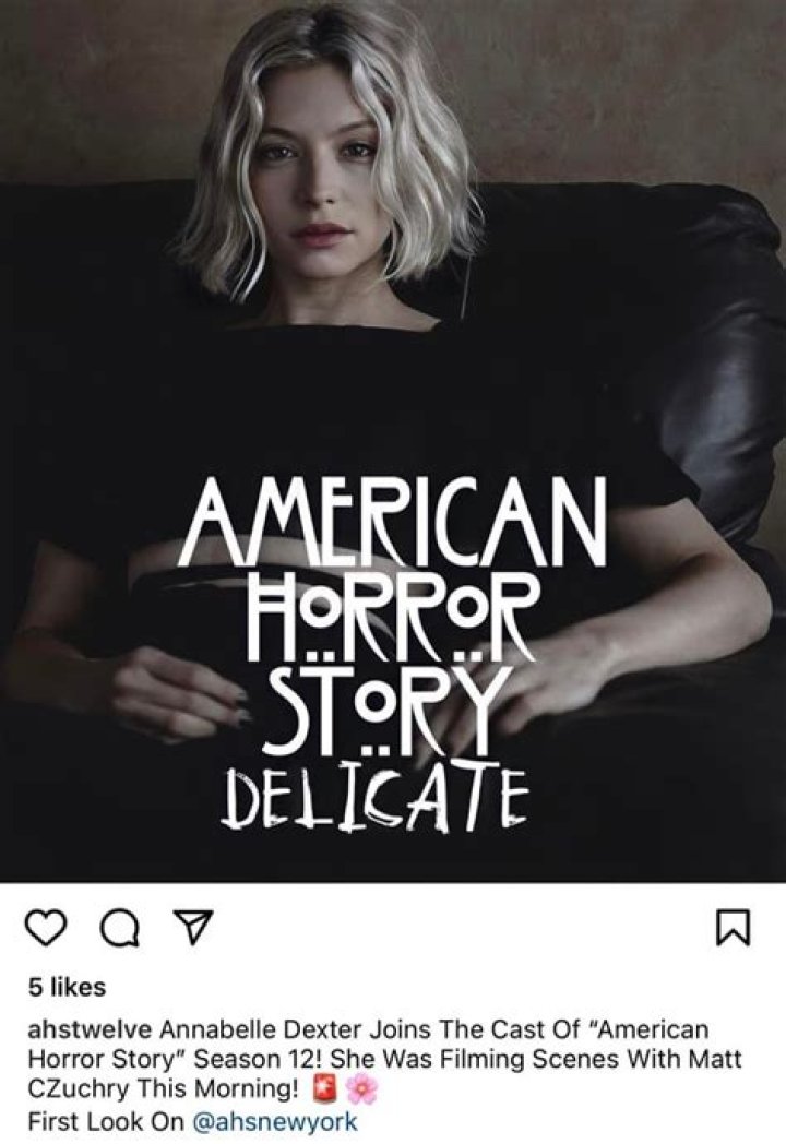 Where You've Seen The Cast Of AHS: Delicate Before