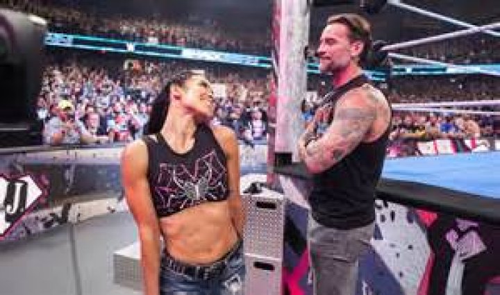 Who is AJ Lee, what does ex-WWE superstar and wife of CM Punk do now?