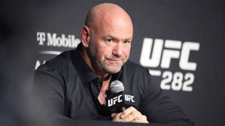 Who Is Anne Stella White (Dana White Wife)? Physical Altercation Details