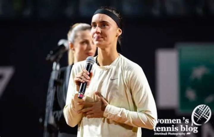 Who Is Anton Korchevskyi? Anhelina Kalinina Boyfriend Husband