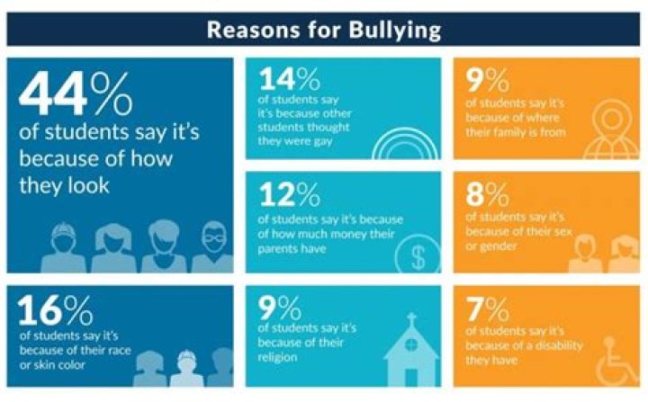Why Did Aubrey Get Bullied? Understanding The Factors Behind Bullying