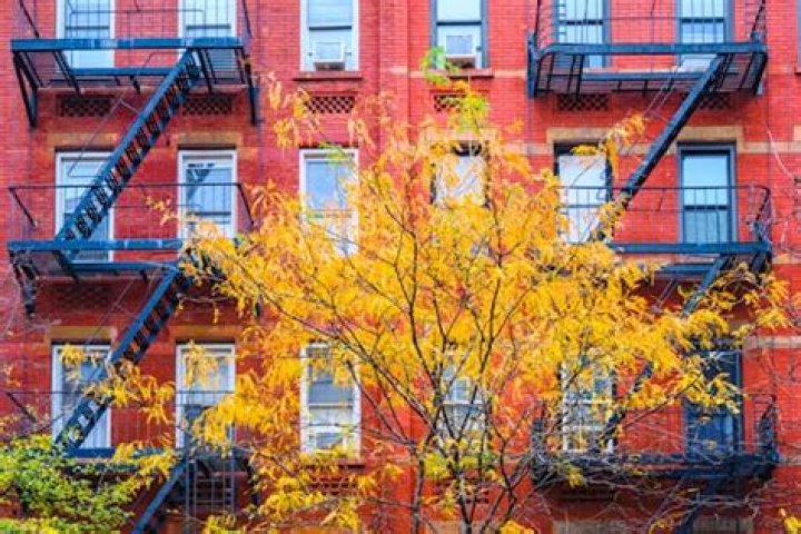 Why Do We Get Tired In The Fall? More Than One Factor Contributes To Your Fatigue
