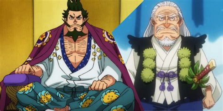 Why Shogun of Wano's Decision Should be Criticised