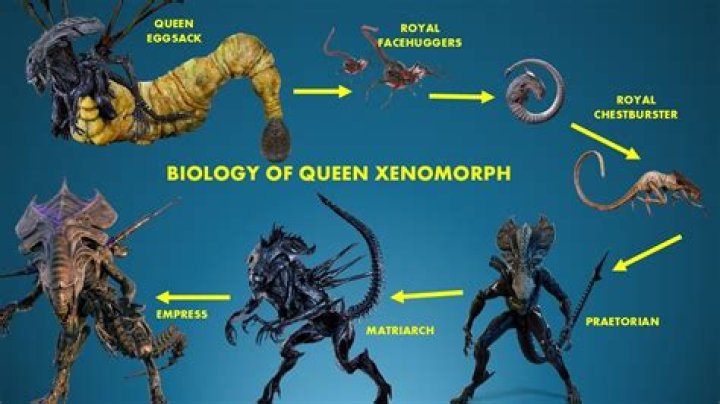 Why The Biology Of The Xenomorph In Alien Makes No Sense