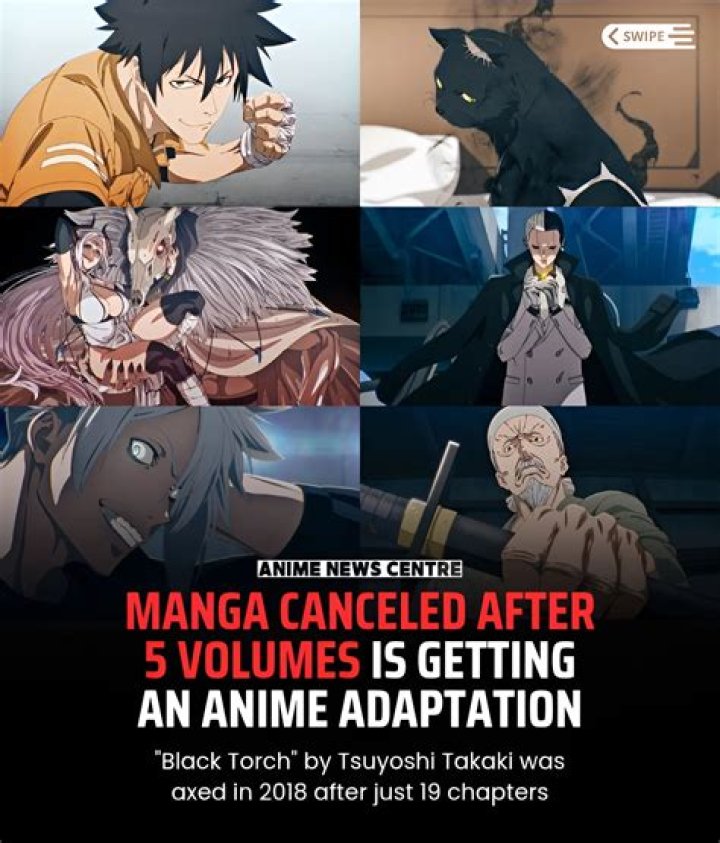 Why was Bleach Anime Cancelled Previously? Did the Series Go on a Hiatus?
