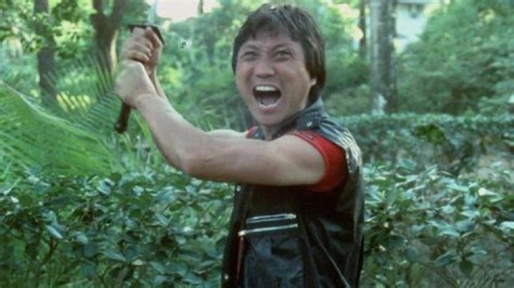 Wild Stories From Ninja Films That Are Actually True
