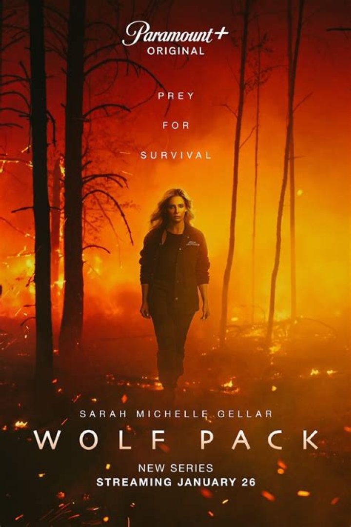 Will there be Wolf Pack season 2? News on Sarah Michelle Gellar drama