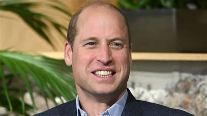 William Ready Net Worth (2024) | wallmine