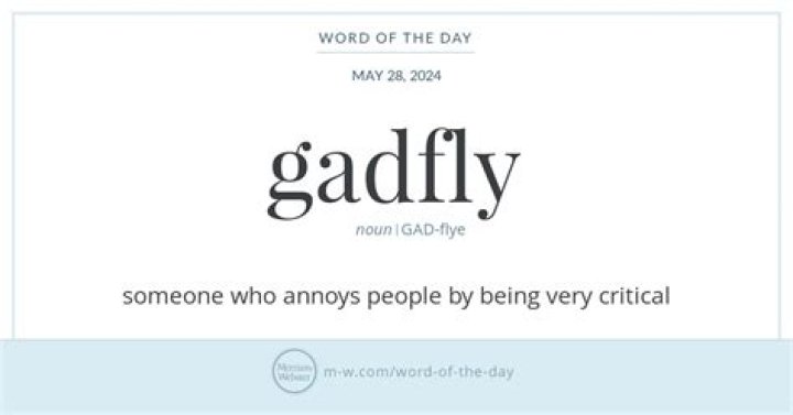 Word of the Week! Gadfly