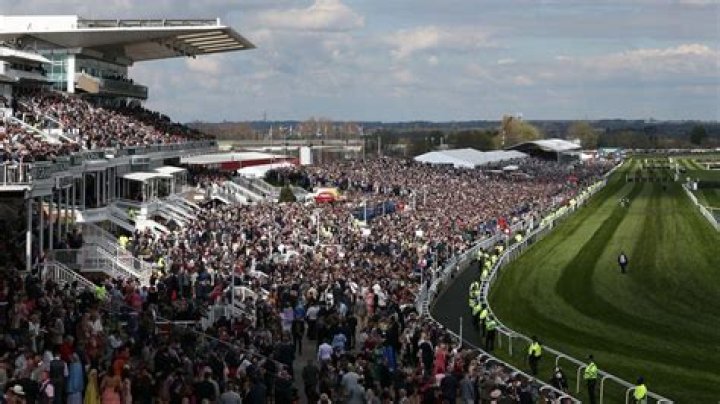 York racecourse News | Latest Headlines & Updates