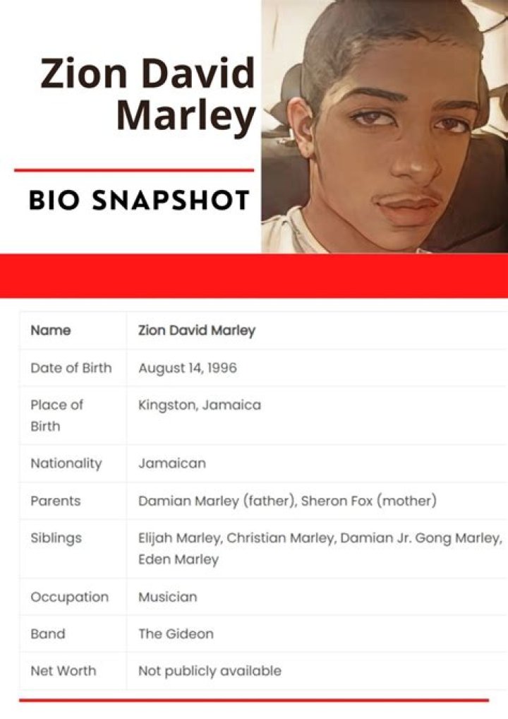 Zion David Marley Bio (Wiki)