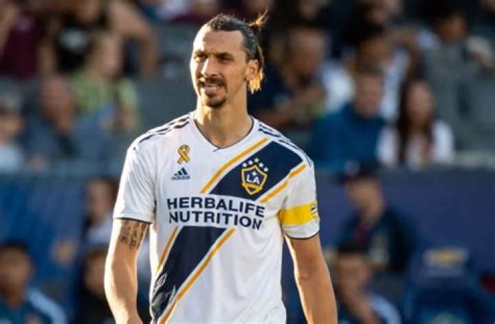 Zlatan Ibrahimovic Net Worth 2024